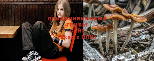 хмурый Порхов