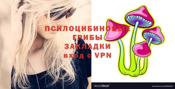 хмурый Порхов