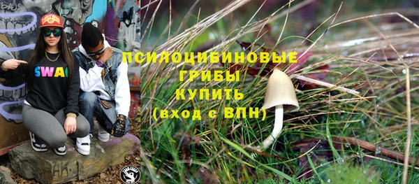 хмурый Порхов