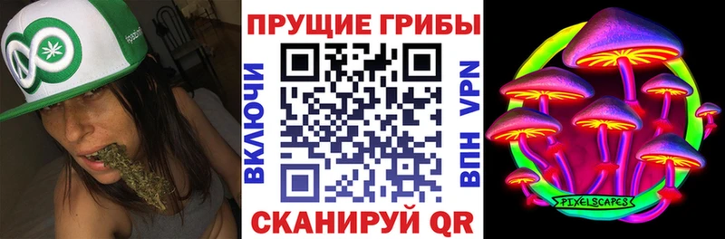 Псилоцибиновые грибы ЛСД  Южноуральск 